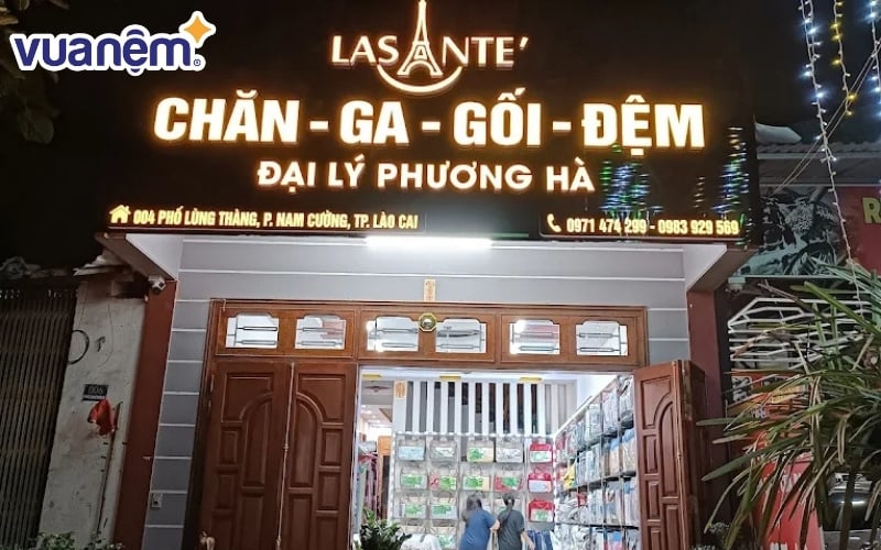 Đại lý Phương Hà
