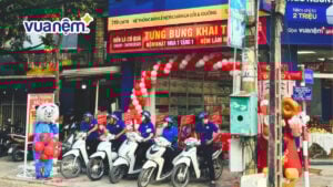 TOP 8 cửa hàng bán chăn ga gối nệm chất lượng tại Tây Ninh