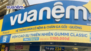 Top 8 cửa hàng nệm Đông Anh chất lượng giá tốt