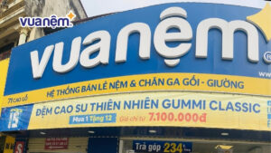 Top 8 cửa hàng nệm Đông Anh chất lượng giá tốt