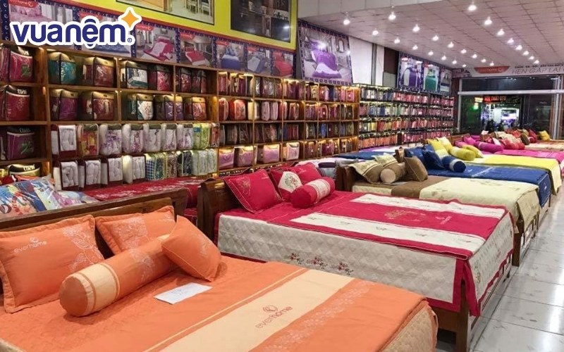 Mua nệm ở đâu Sóc Sơn? Everhome