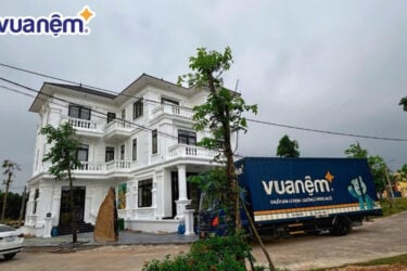 Giới thiệu về chương trình đơn dự án của Vua Nệm