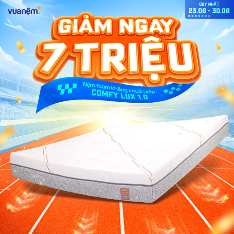 Nệm foam kháng khuẩn kép Comfy Lux 1.0
