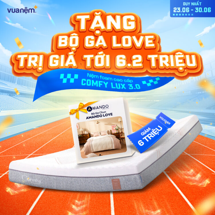 Nệm foam cao cấp Comfy Lux 3.0