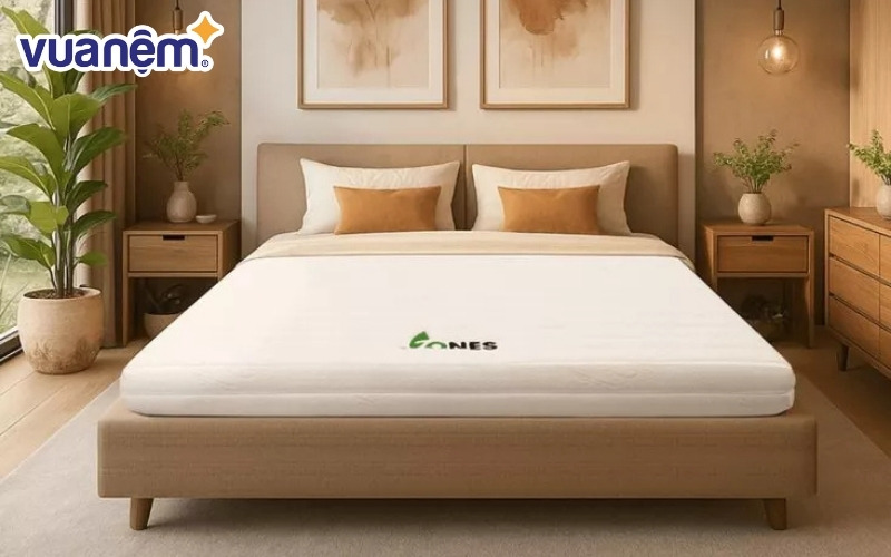 Nệm cao su cao cấp Gummi 7zones