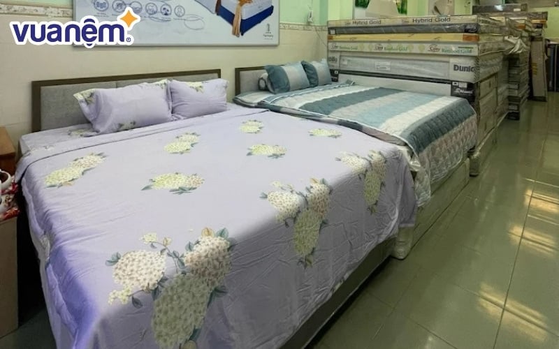 Sắm nệm cao su non giá tốt tại cửa hàng Thịnh Vượng