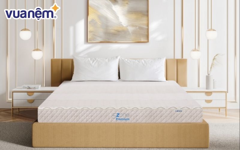 Nệm cao su 5ZONE Premium