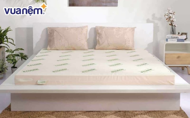 Chiếc nệm cao su thiên nhiên Gummi đến từ thương hiệu của Vua Nệm