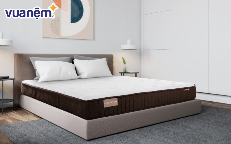 Nệm lò xo túi Cocoon 2.0 Firm
