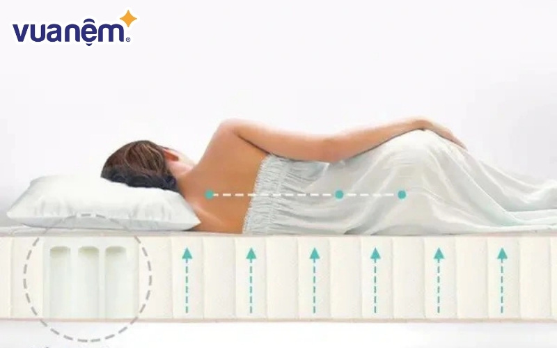 Các dòng nệm Liên Á có khả năng nâng đỡ tốt