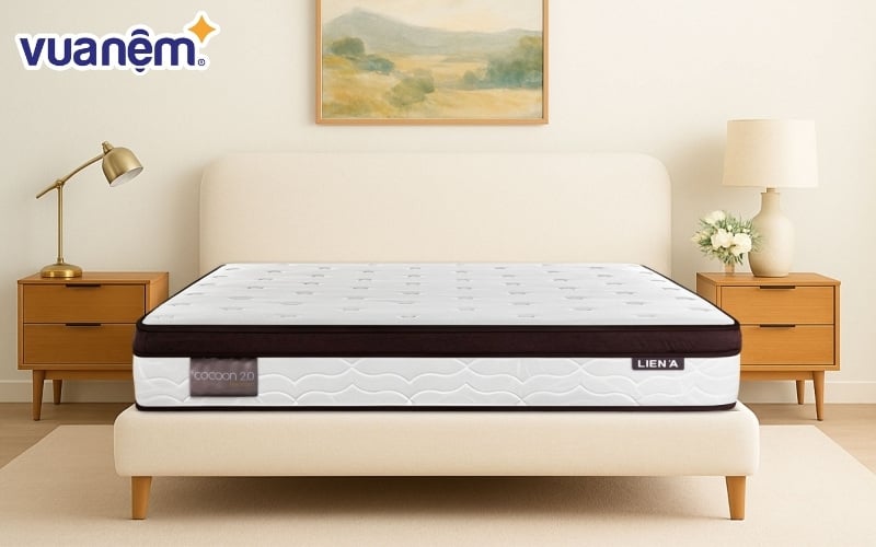 Phân khúc của nệm Liên Á dao động từ tầm trung đến cao cấp