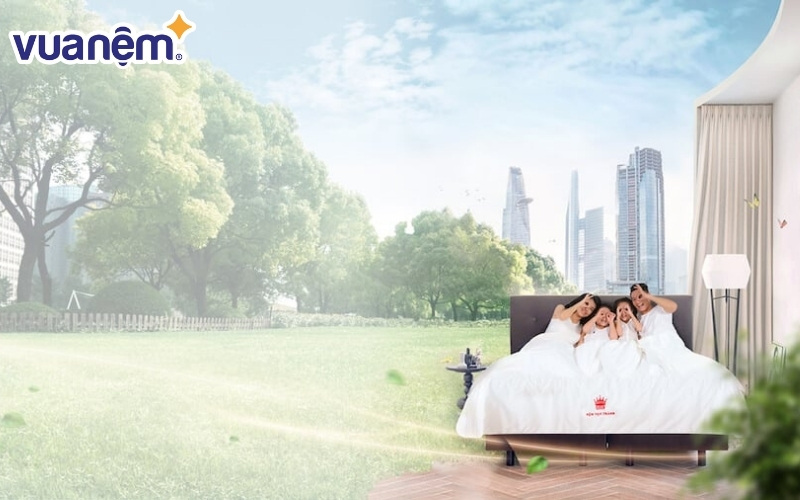 Nệm Vạn Thành 1m6 có tốt không?