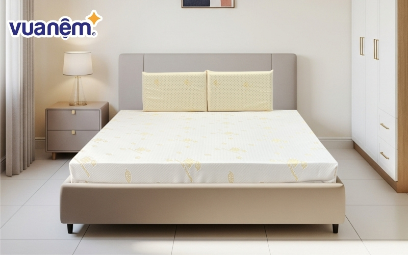 Nệm 5cm mỏng nên dễ bảo quản