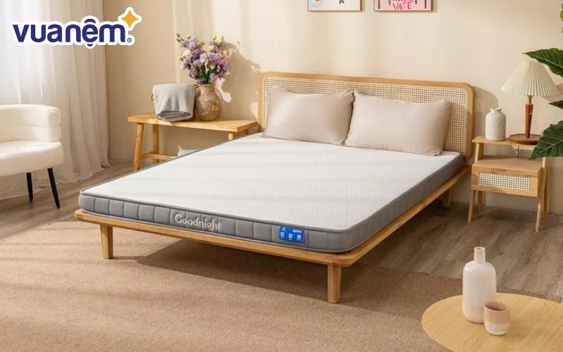 đệm cao su mỏng Goodnight Rena