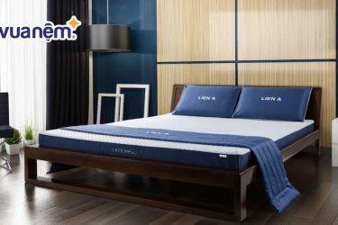 So sánh nệm Edena và nệm Liên Á - Nên mua nệm loại nào?