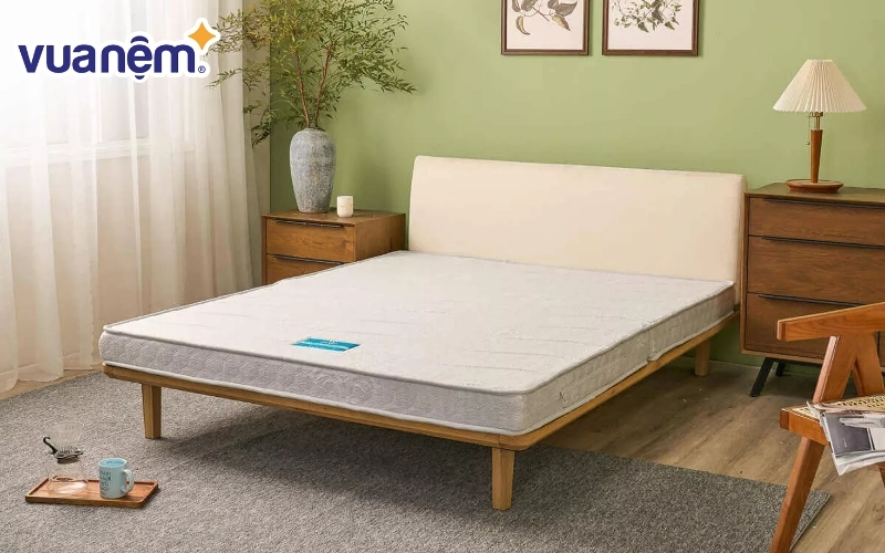 Đệm bông ép là dòng sản phẩm vô cùng phổ biến tại thị trường Việt Nam