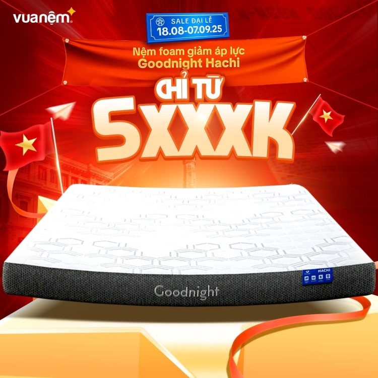 Sắm nệm foam Goodnight Hachi giảm áp lực giá chỉ từ 5xxxk