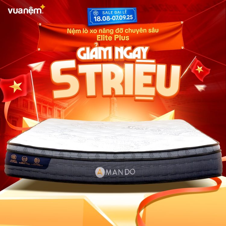Nệm lò xo nâng đỡ chuyên sâu Amando Elite Plus giảm 5 triệu