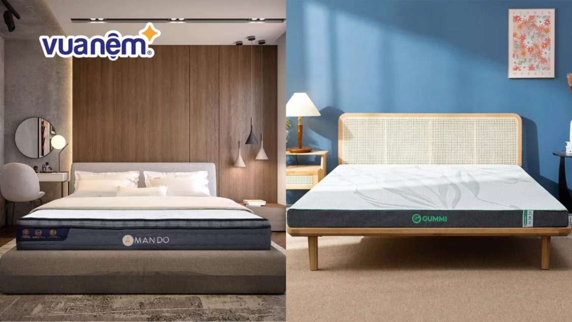 So sánh nệm Amando và nệm Gummi: Đánh giá chi tiết từ A - Z