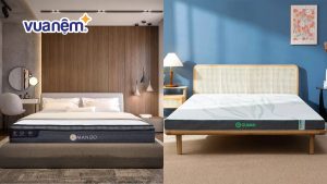 So sánh nệm Amando và nệm Gummi: Đánh giá chi tiết từ A – Z