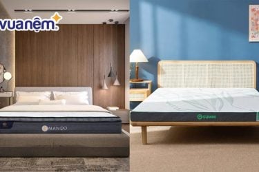 So sánh nệm Amando và nệm Gummi: Đánh giá chi tiết từ A - Z