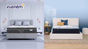 So sánh nệm Amando và nệm Serta: Loại nào tốt, đáng đầu tư?