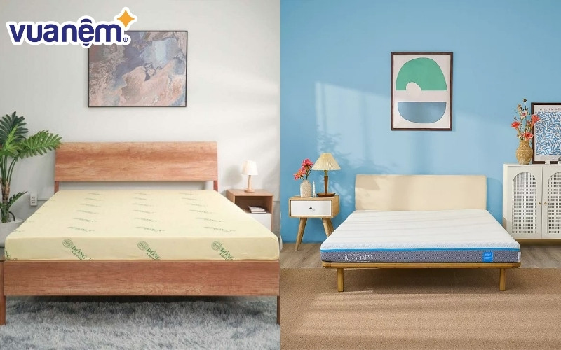 Review nệm cao su non (bên phải) và nệm foam (bên trái)