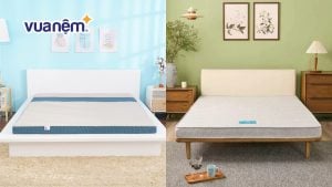 So sánh nệm Goodnight và nệm Wonjun: Tìm hiểu các đặc điểm