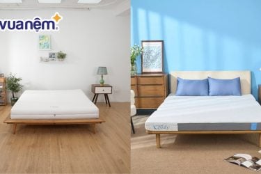 So sánh nệm Gummi và nệm iComfy: Đánh giá chất lượng từ A-Z