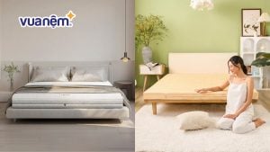 So sánh nệm Gummi và nệm Wonju: Đánh giá chi tiết đặc điểm