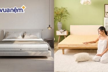 So sánh nệm Gummi và nệm Wonju: Đánh giá chi tiết đặc điểm
