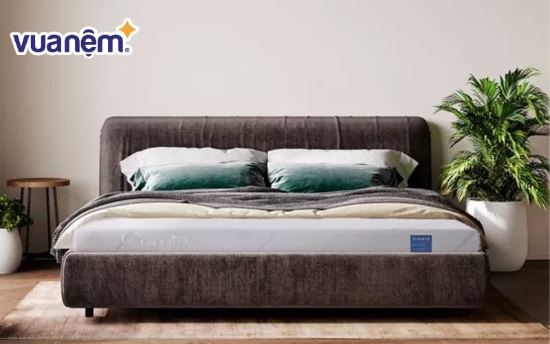iComfy chuyên về dòng nệm foam