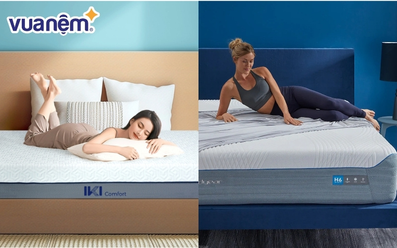 Lựa chọn nệm Liên Á hay nệm Bedgear cho giấc ngủ?