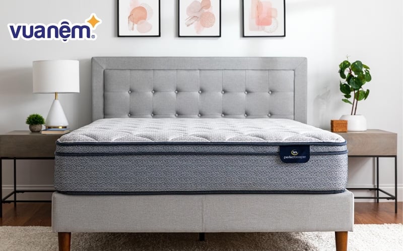 Serta là thương hiệu nệm cao cấp đến từ Mỹ