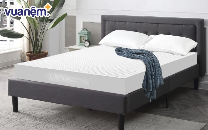 Nệm Liên Á sẽ là lựa chọn phù hợp với đa số gia đình Việt