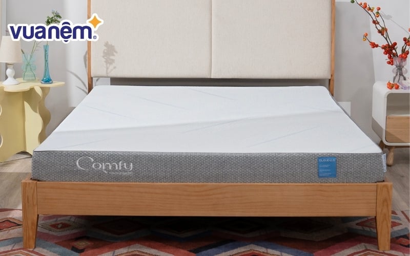 iComfy nổi tiếng với dòng nệm foam ứng dụng công nghệ tiên tiến