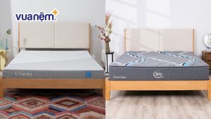 So sánh nệm Serta và nệm iComfy: Nệm nào đáng tiền hơn?