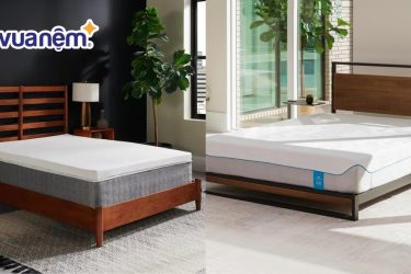 So sánh nệm Tempur và nệm Bedgear: Về đặc tính, giá thành
