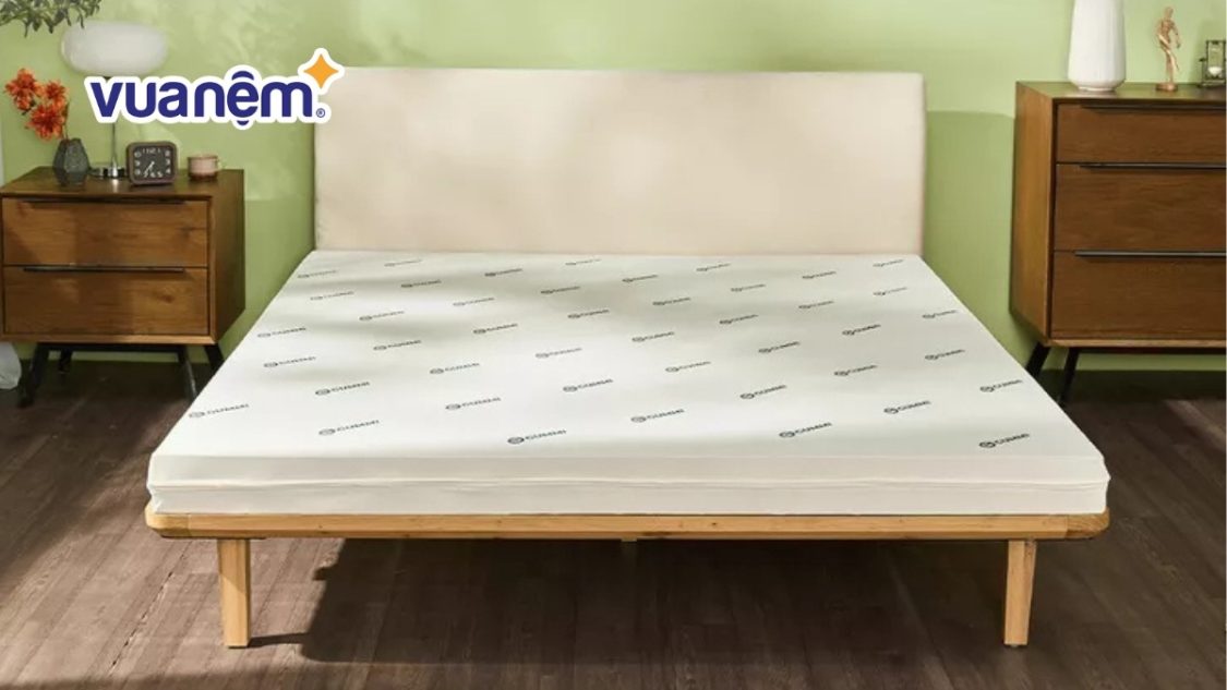 So sánh nệm Tempur và Gummi