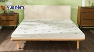 So sánh nệm Tempur và Gummi: Nên chọn loại nào tốt hơn?