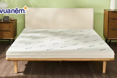 So sánh nệm Tempur và Gummi