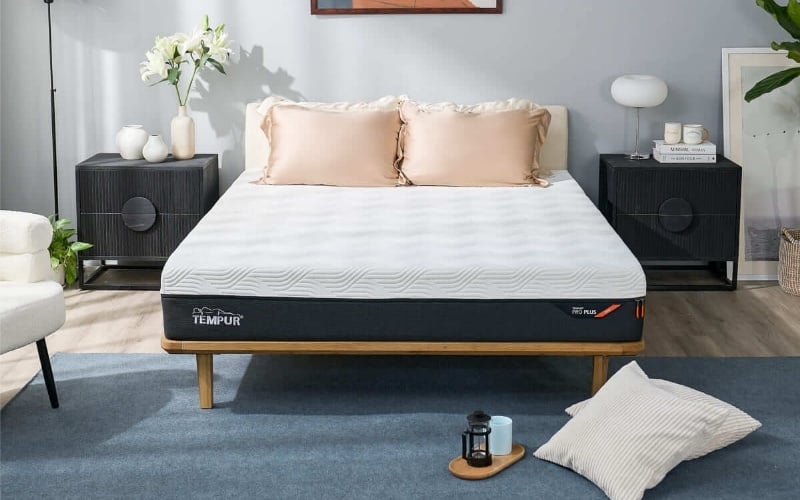 Tempur chuyên cung cấp các dòng nệm cao cấp