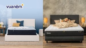 So sánh nệm Tempur và nệm Serta: Review đặc điểm từ A-Z