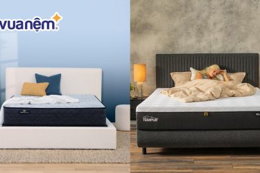 So sánh nệm Tempur và nệm Serta: Review đặc điểm từ A-Z