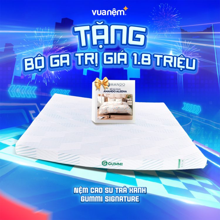 Nệm cao su trà xanh Gummi Signature