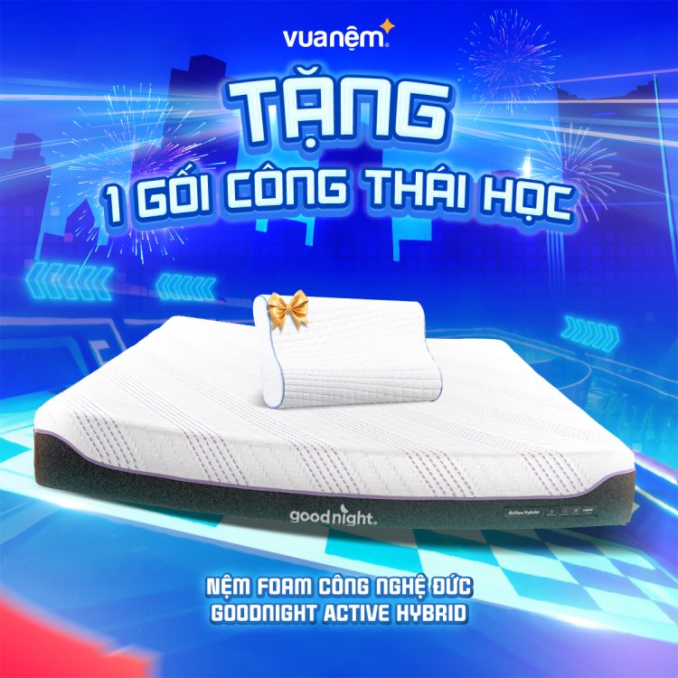 Nệm foam Goodnight Active Hybrid