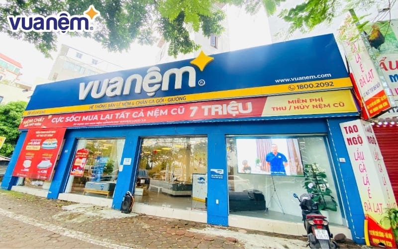 Mua nệm bông ép ở Vua Nệm uy tín và chất lượng