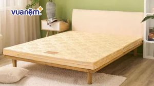 Chia sẻ kinh nghiệm mua nệm bông ép rẻ – đẹp – chất lượng