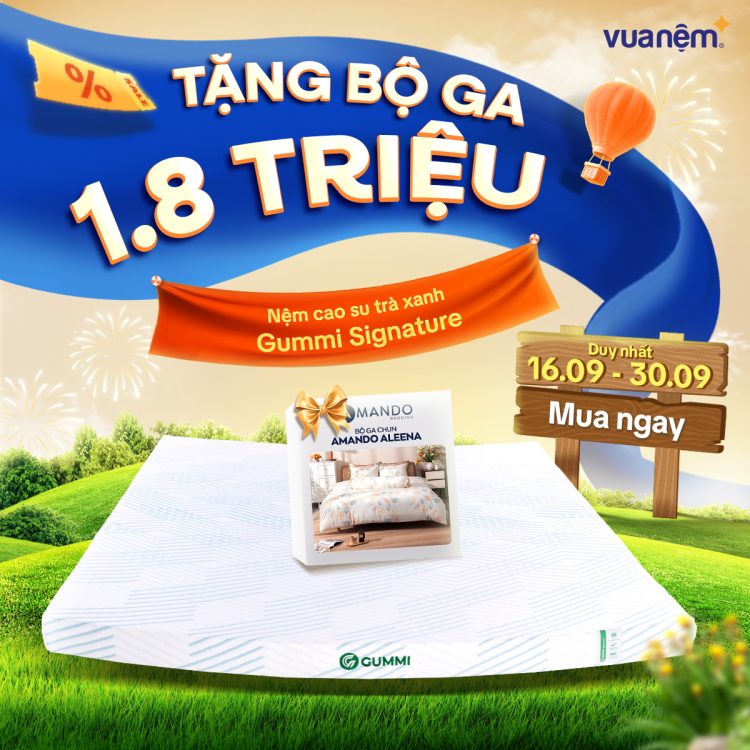 Nệm cao su trà xanh Gummi Signature