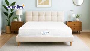 Kích thước nệm Vạn Thành và cách lựa chọn chuẩn